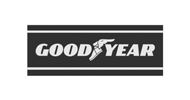 partner logo 3